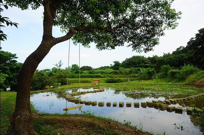 Feast in terrace field | Jimuling mountain (One Day Tour) 1