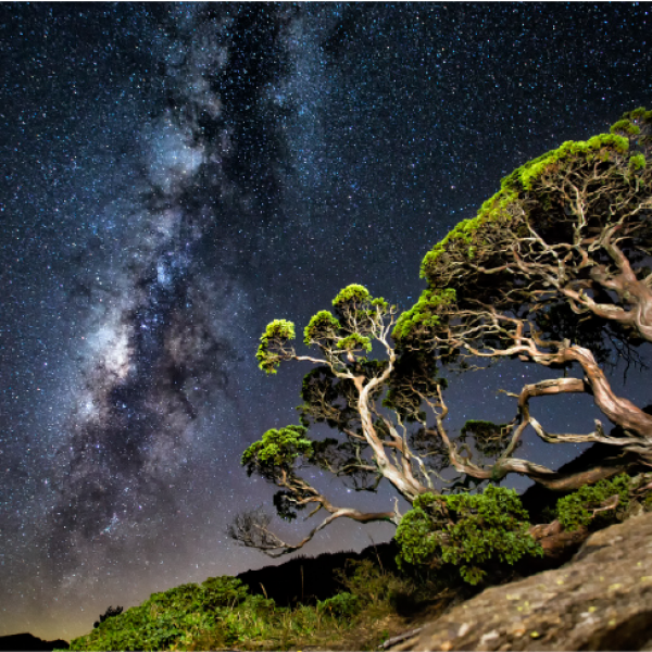 合歡⼭星空軸線：高山觀星 清新淨零⼆⽇遊
