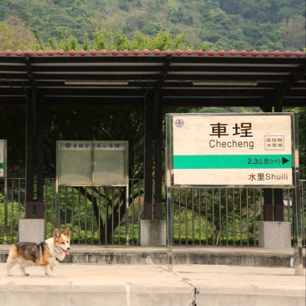 集集鐵道軸線：懷舊鐵道綠色淨零二日遊