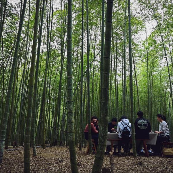 茶⾹⼯藝軸線：⼭林生態、茶鄉⽂化體驗淨零⼆⽇遊